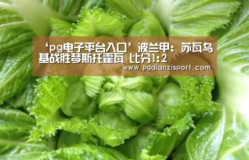 ‘pg电子平台入口’波兰甲: 苏瓦乌基战胜琴斯托霍瓦 比分1:2(图1) pg免费模拟器官网