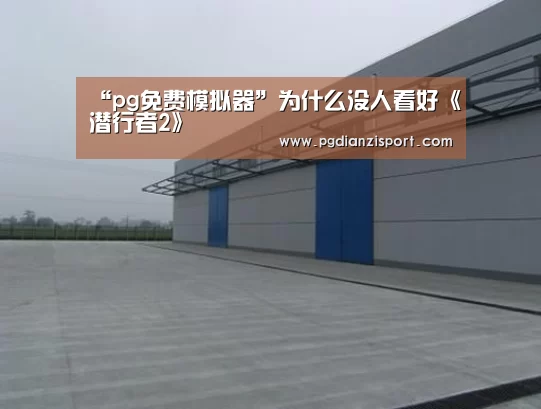 “pg免费模拟器”为什么没人看好《潜行者2》(图2) pg免费模拟器