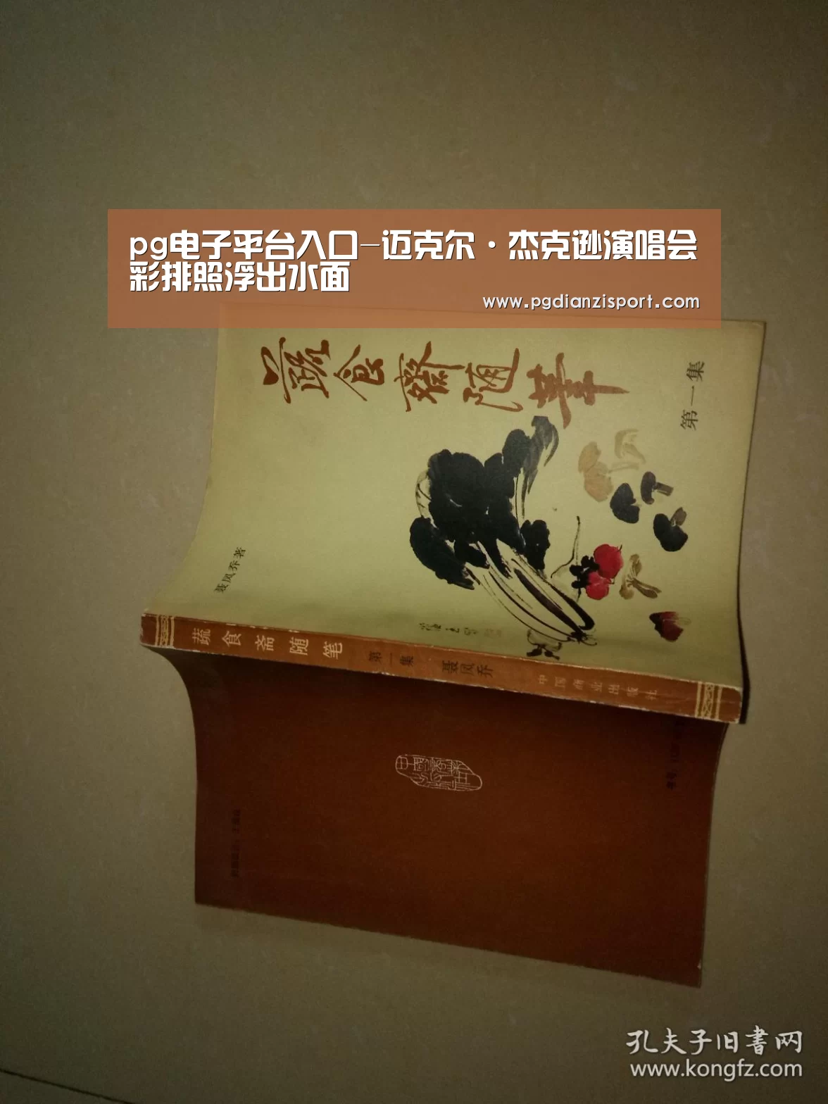 pg电子平台入口-迈克尔·杰克逊演唱会彩排照浮出水面(图3) pg免费模拟器官网